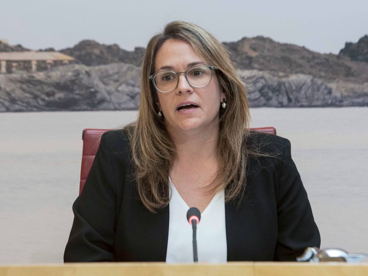 El PSOE demana a Vilafranca que rompi el pacte PP-VOX del Consell insular