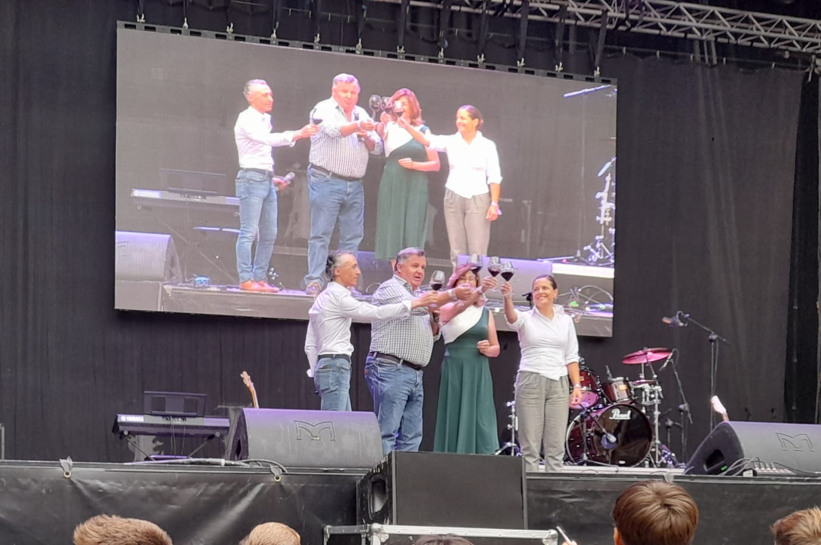 Brindis inaugural de la V Gran Fiesta de la Vendimia de la Ribera del Duero