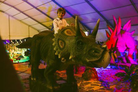 Una imagen de la muestra