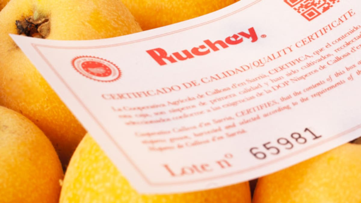 Rafael Gregori (ASAJA) sobre la campaña del níspero