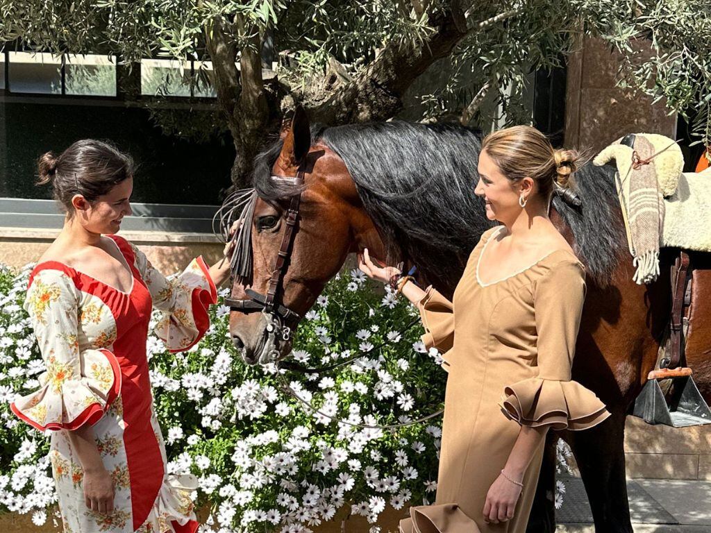 Habitat Sella llena de flamenco Zaragoza.