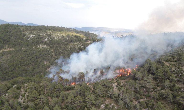 Incendio forestal en Villahermosa del Río