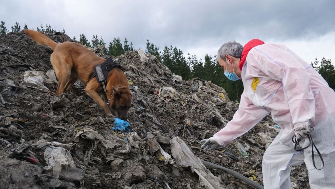 -La unidad canina de la ertzaintza sigue en la búsqueda de Joaquín Beltrán, el operario cuyo cuerpo permanece bajo los escombros del vertedero de Zaldibar, cuando se cumple este sábado el primer aniversario del derrumbe de la escombrera. 