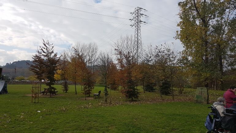 Bosque de la solidaridad en las inmediaciones del Complejo de la Lechera de Torrelavega