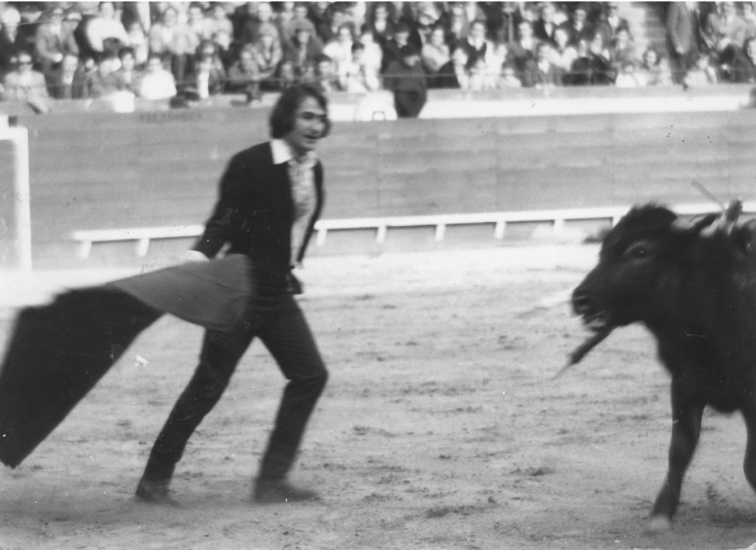 Nino Bravo llegó a torear un becerro, algo de lo que no era muy amigo, a beneficio de la Asociación Valenciana de Caridad. Fue en marzo de 1971, en la Plaza de Toros de Valencia.