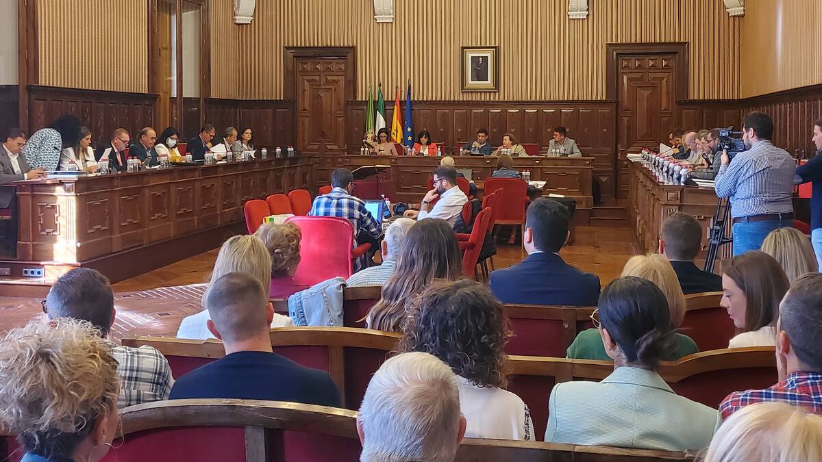 El pleno de la Diputación de Jaén recuerda al empresariado la necesidad de tomar medidas de protección contra los accidentes laborales