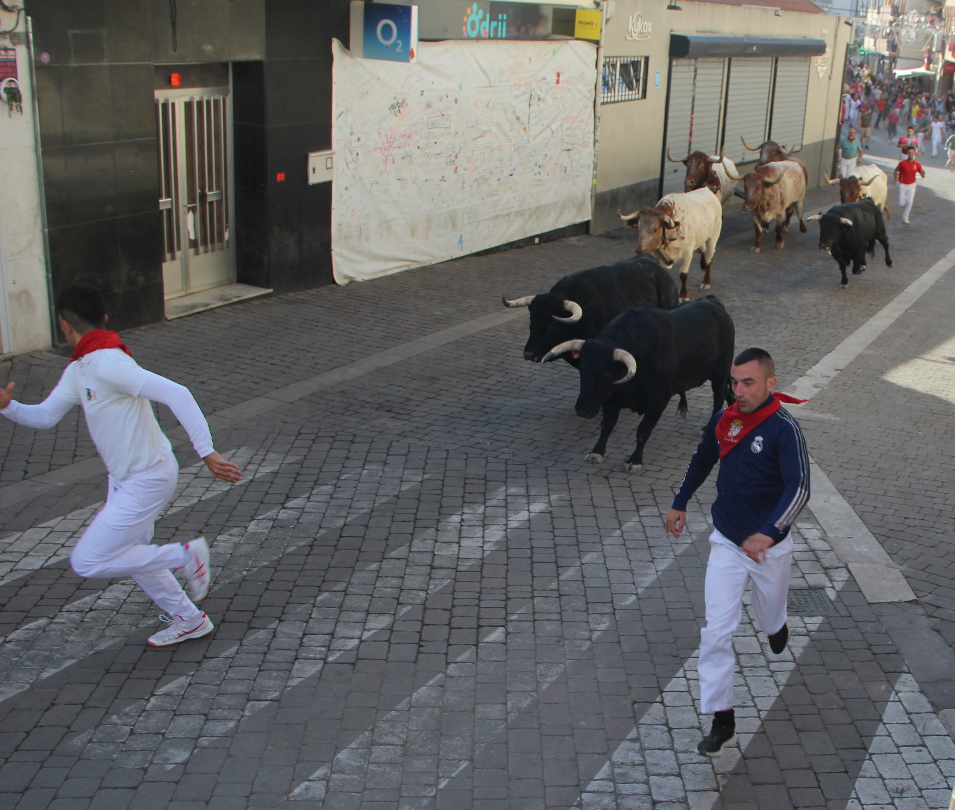 Tres últimos toros en el final de la calle Resina en el tercer encierro de Cuéllar