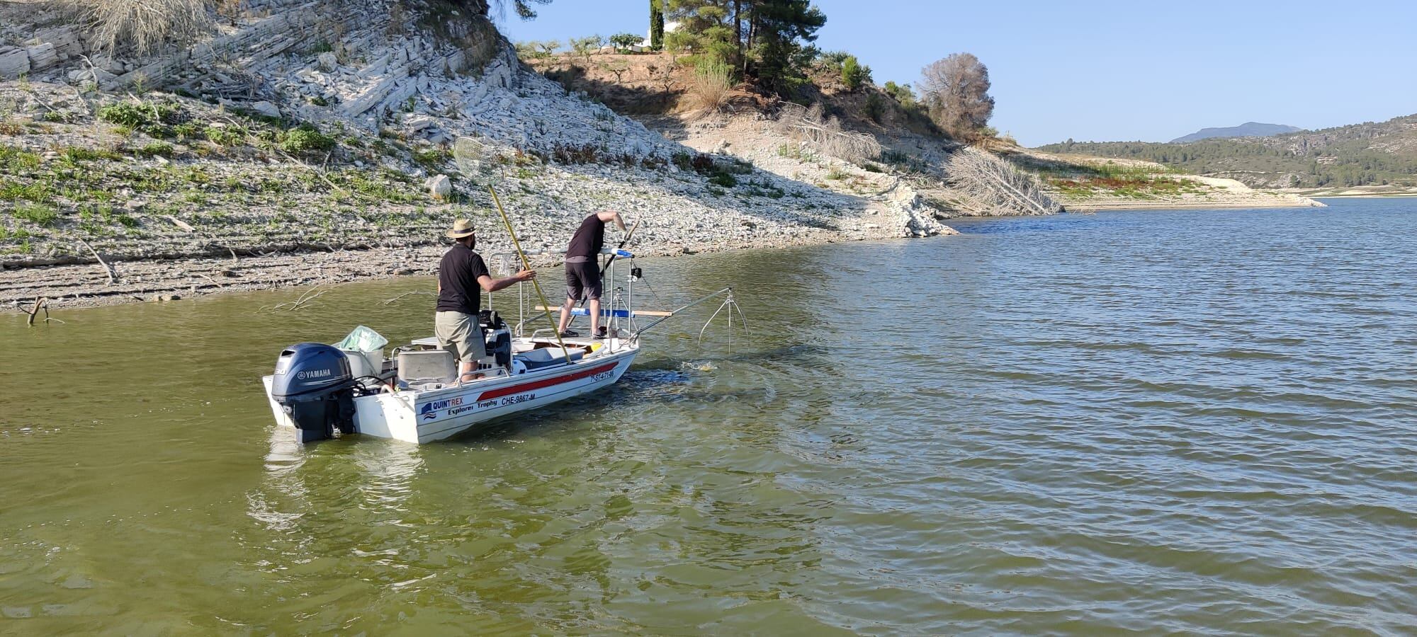 Dos técnicos retirando peces en el embalse de Beniarrés.