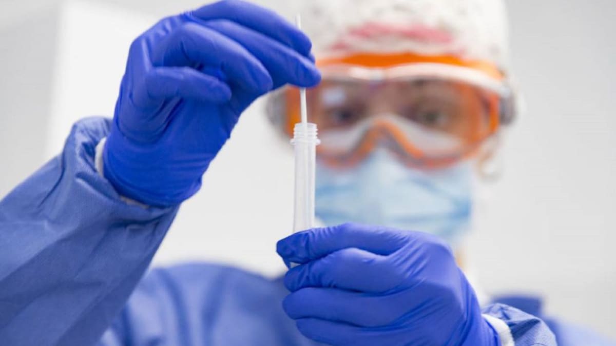 Informe 12: Covid y género