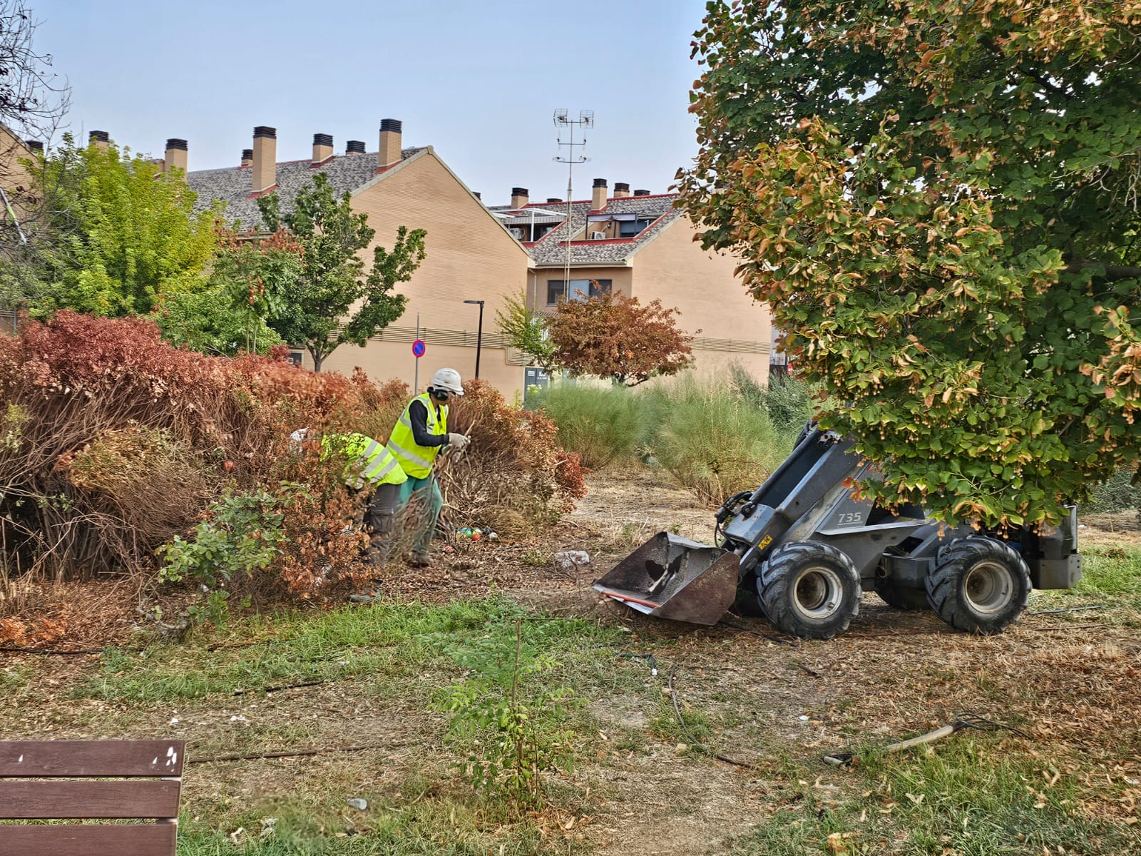 Funcionarios municipales de San Martín de la Vega en tareas de reforestación.