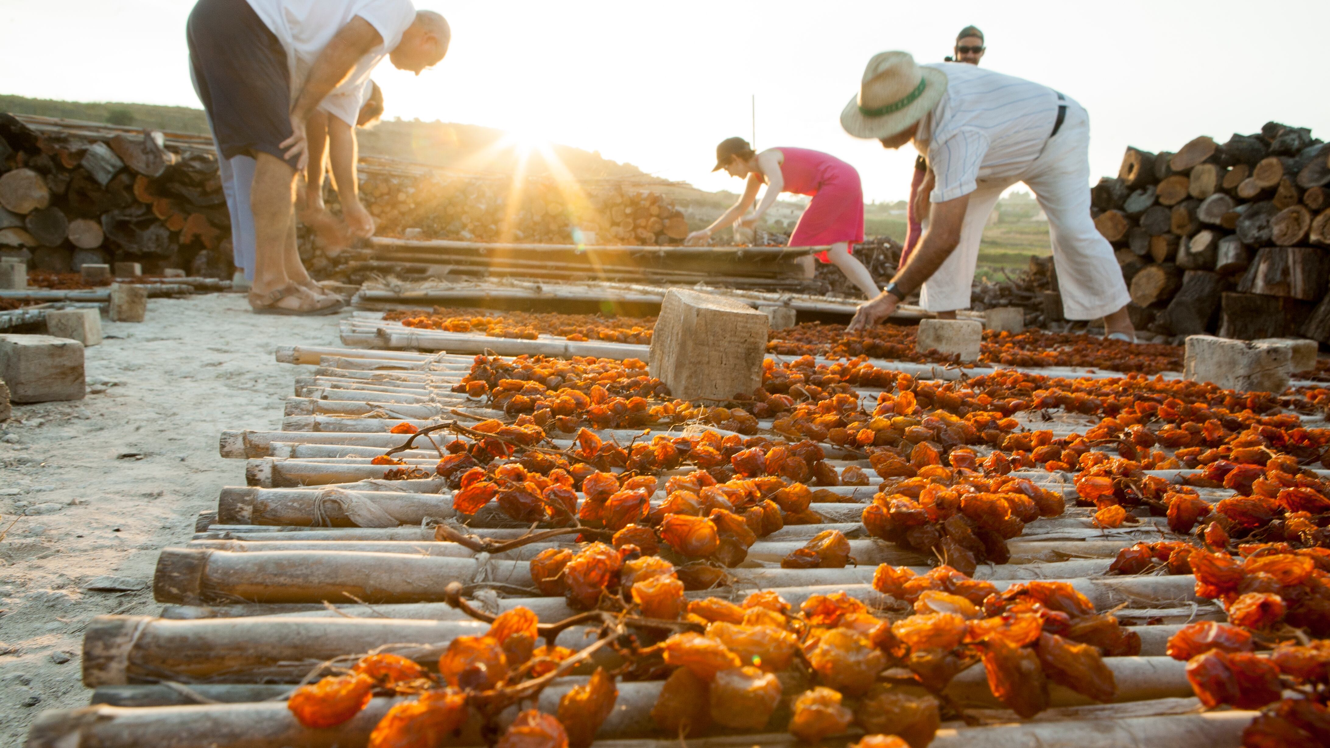 Este reconocimiento sitúa al municipio como referente internacional de innovación culinaria, sostenibilidad alimentaria y cultura gastronómica