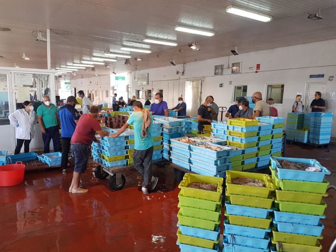 Imagen de archivo de la lonja pesquera durante la subasta de pescado