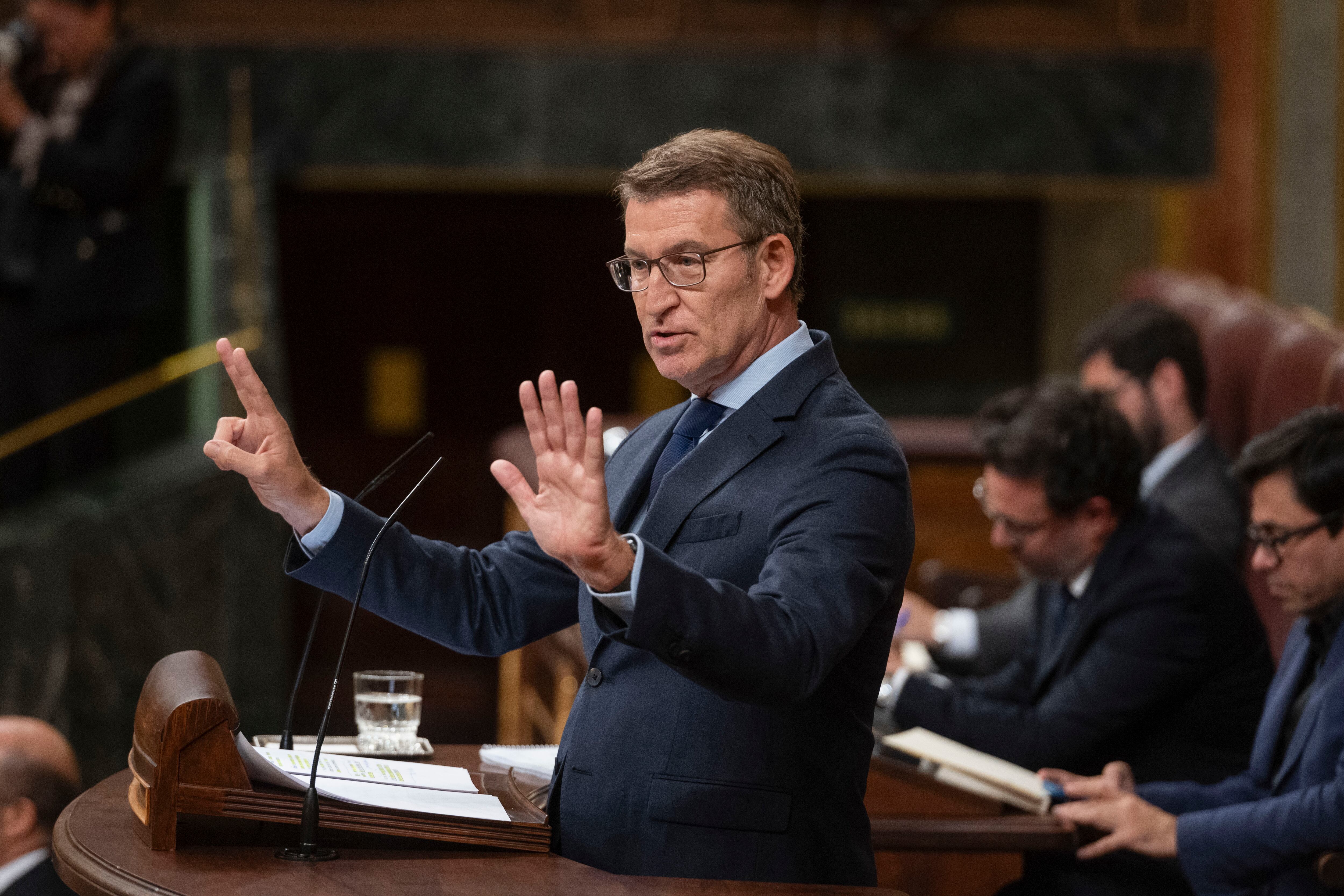 El líder del PP, Alberto Núñez Feijóo.