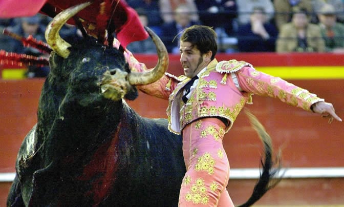 El astado, un animal peligroso y complicado de la ganadería de Ana Romero, ha herido al diestro en el pómulo izquierdo a la salida de un par de banderillas