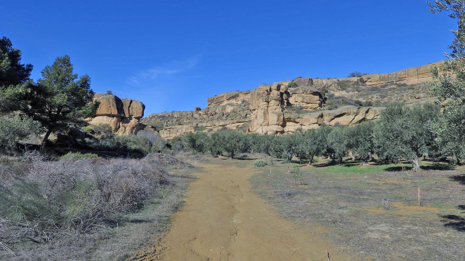 Rincón del Olivar, Alberuela de Tubo.