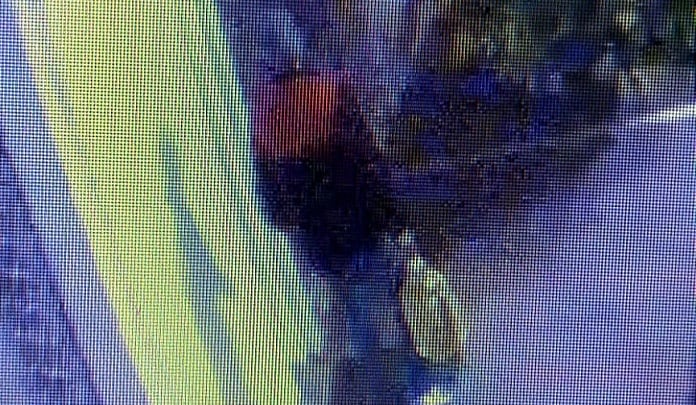 Imagen del detenido en Algeciras