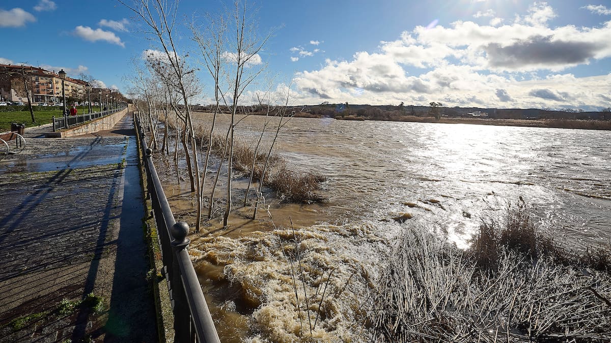 Estos son los refranes que deberías estar usando estos días