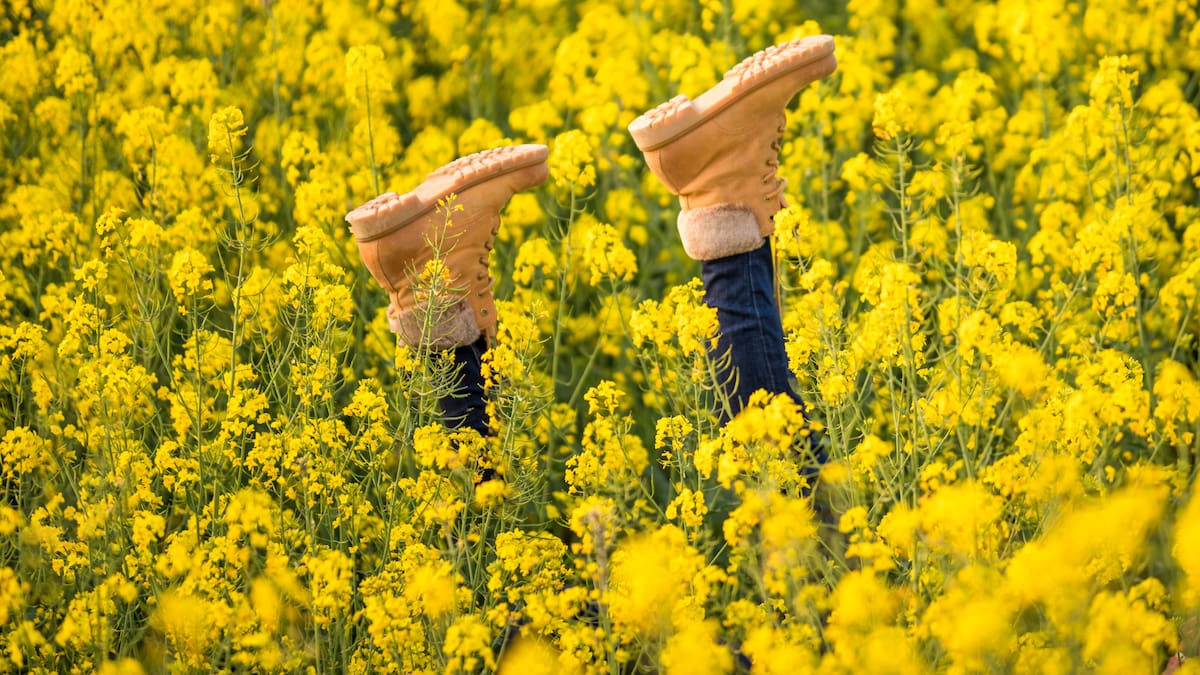 ¿Cómo será la primavera para los alérgicos? Lo explica la alergóloga Alicia Armentia