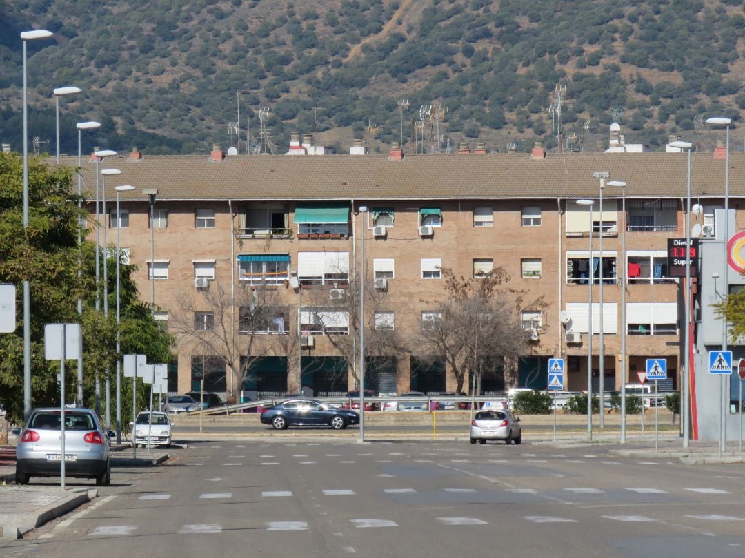 Panorámica de Las Palmeras