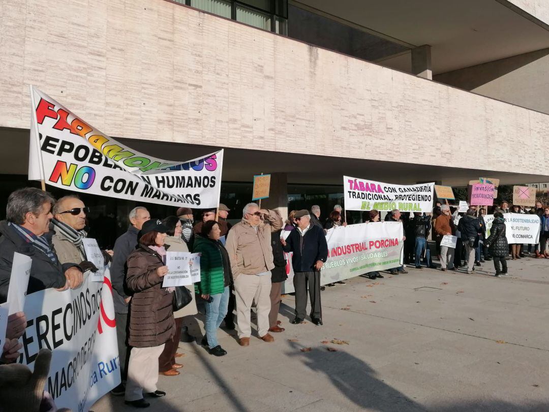 Mnaifestación de los colectivos anti-macrogranjas ante las Cortes de Castilla y León