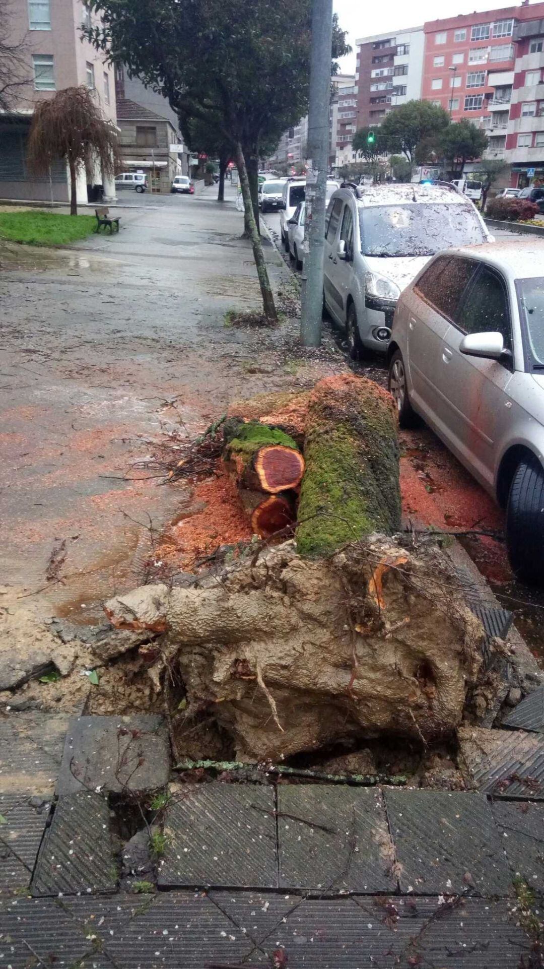 Los efectos de Karim en la calle Gregorio Espino