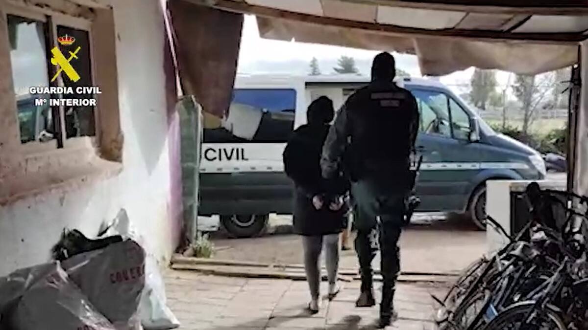 Dos detenidas por cultivar más de 400 plantas de marihuana en Torrejón de la Calzada