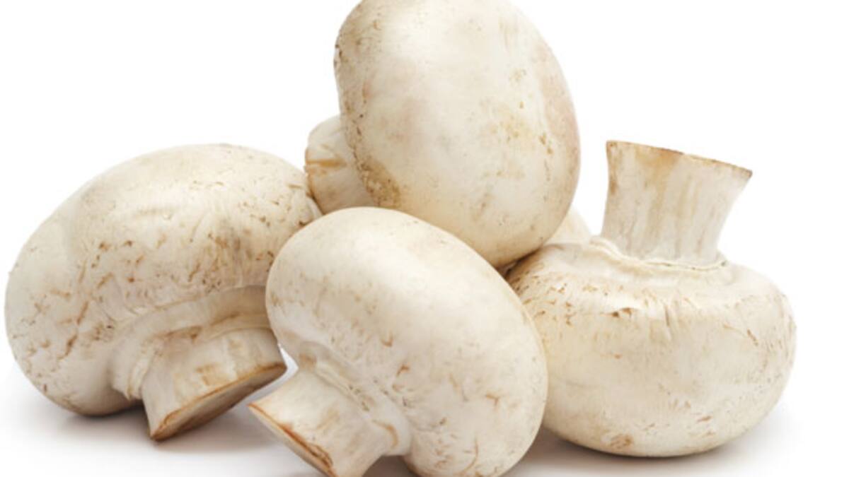 Hongos como fuente de vitamina D
