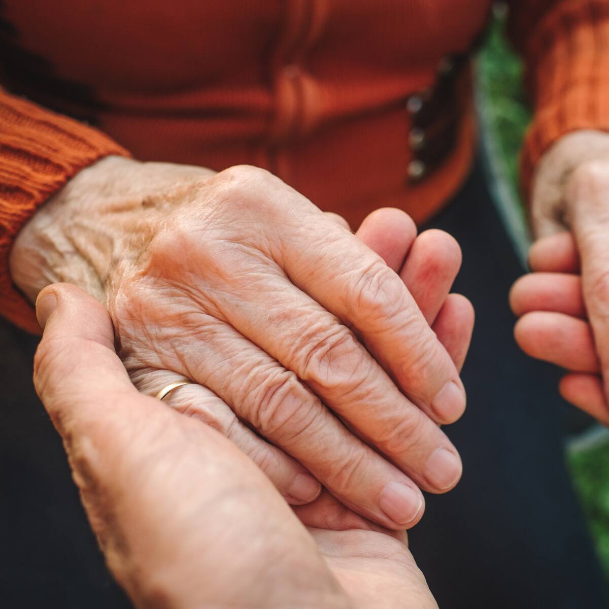 Entre los diez suman más de mil años