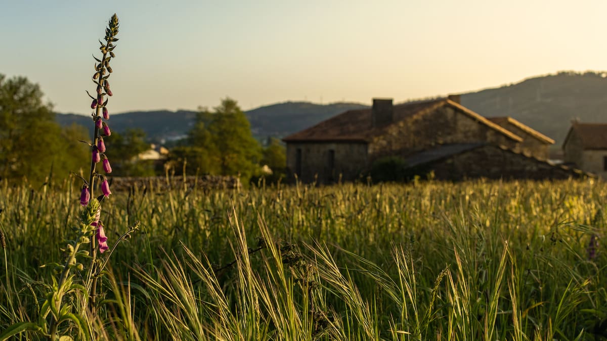 El rural en A Coruña y el rural que emprende: dos miradas, un mismo futuro