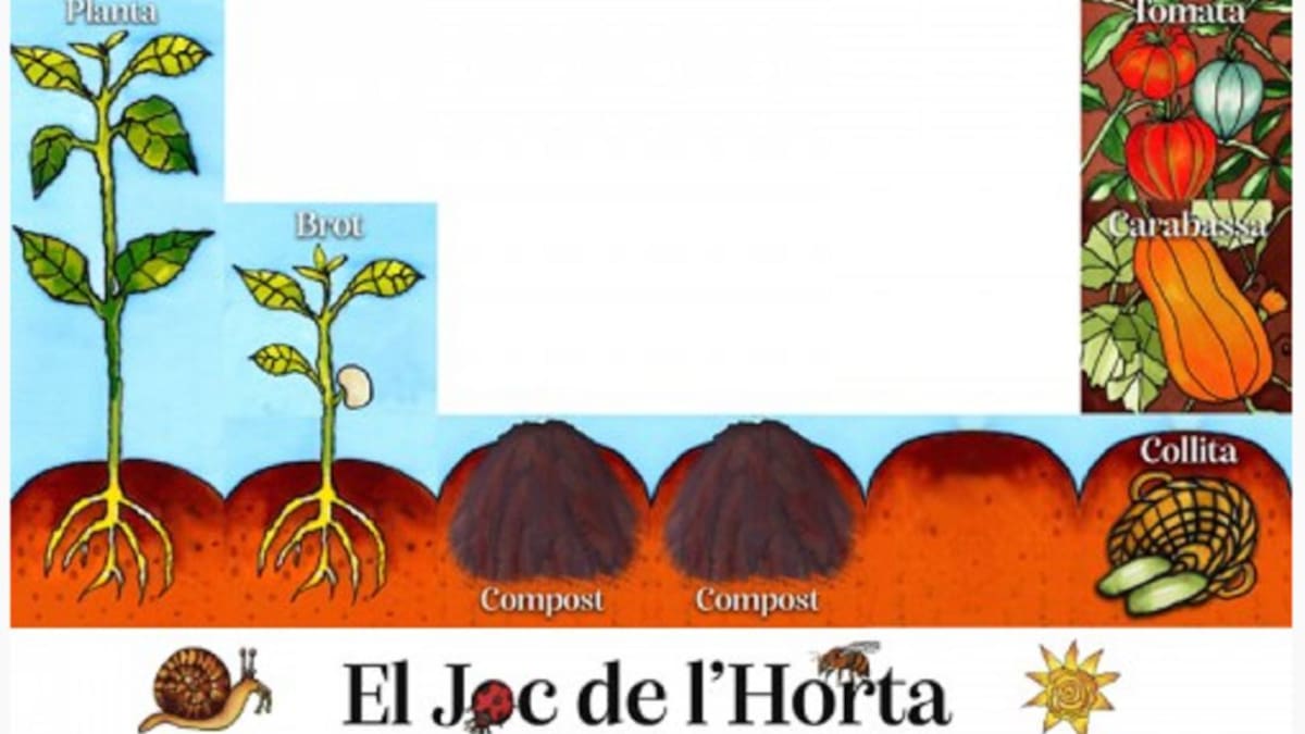 La llavor (13/03/2021)