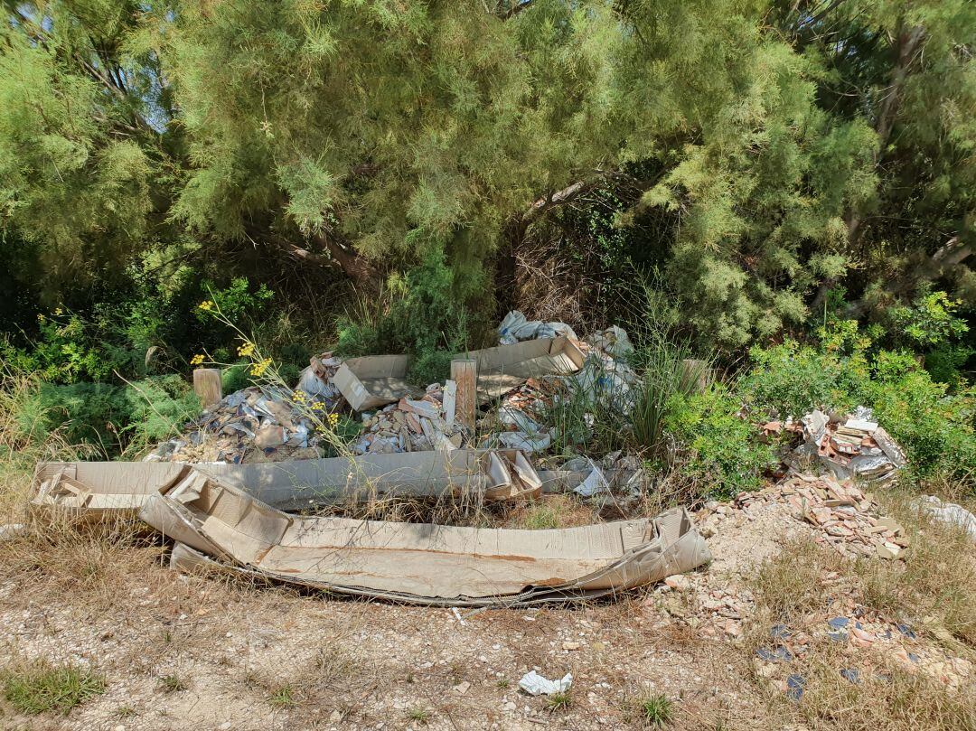 Basura acumulada en el Paraje del Arbre del Gos en La Albufera