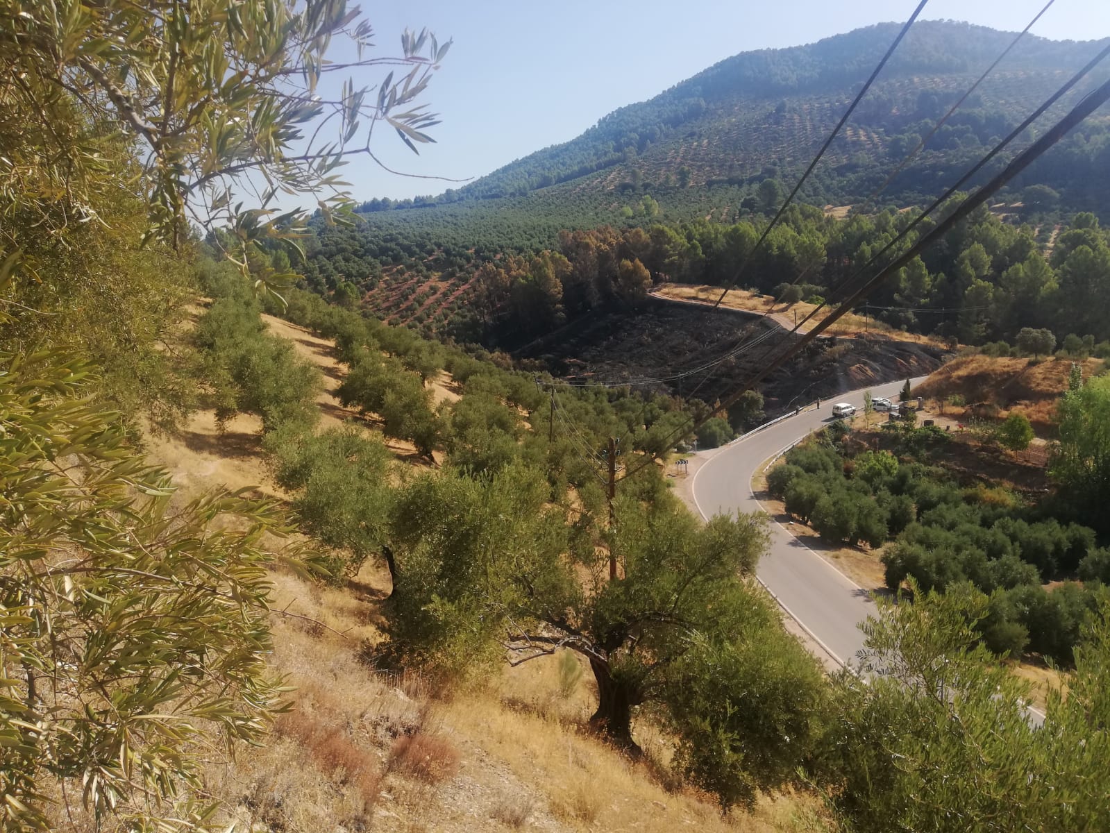 Así ha quedado el terreno quemado en el incendio de Hornos de Segura