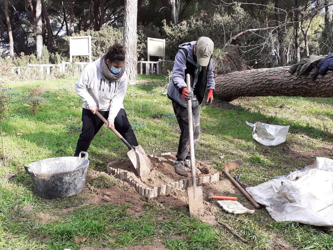 Brinzal ha realizado un estudio faunístico en ambientes agrícolas para sensibilizar a los ciudadanos sobre el valor de los polinizadores y la problemática asociada a su disminución