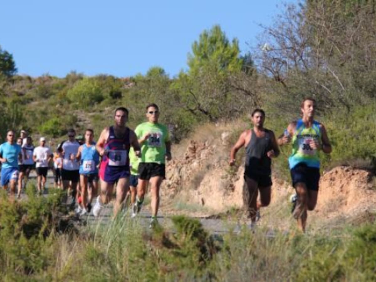 Descubriendo la Vall dels Alcalans