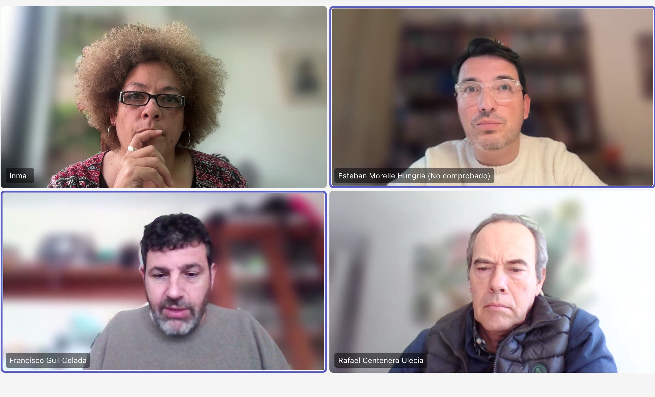 Captura de la reunión telemática