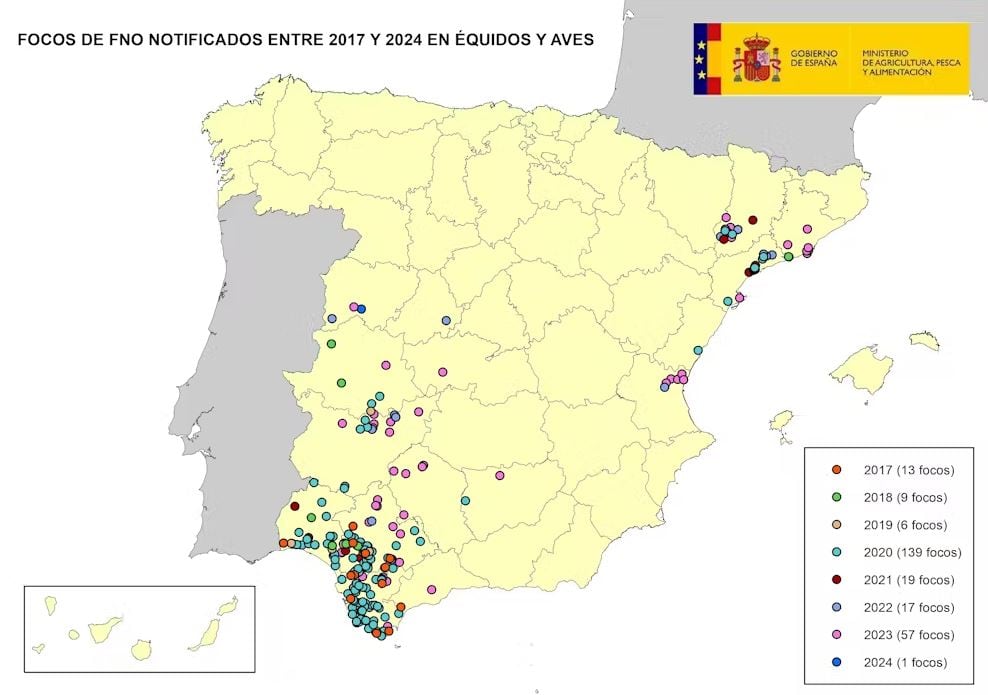 Focos del virus del Nilo Occidental detectados desde 2017 en équidos y aves