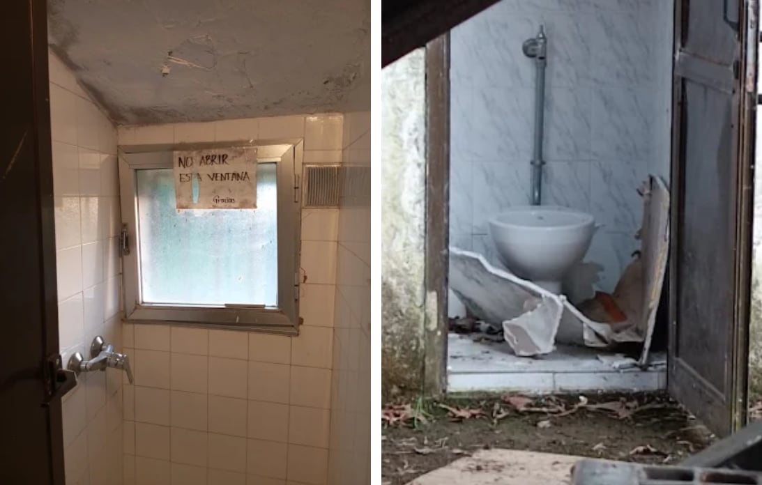 Fotografías compartidas en las quejas realizadas por visitantes del campamento