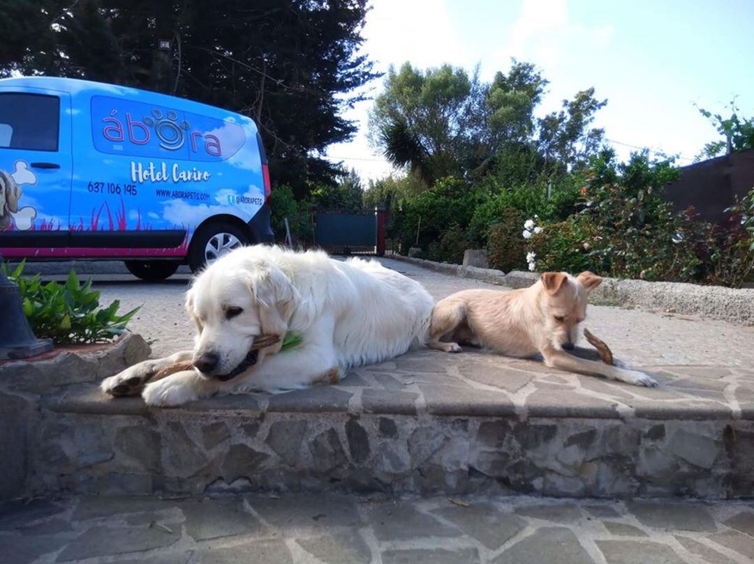 Imagen promocional del Hotel Ábora