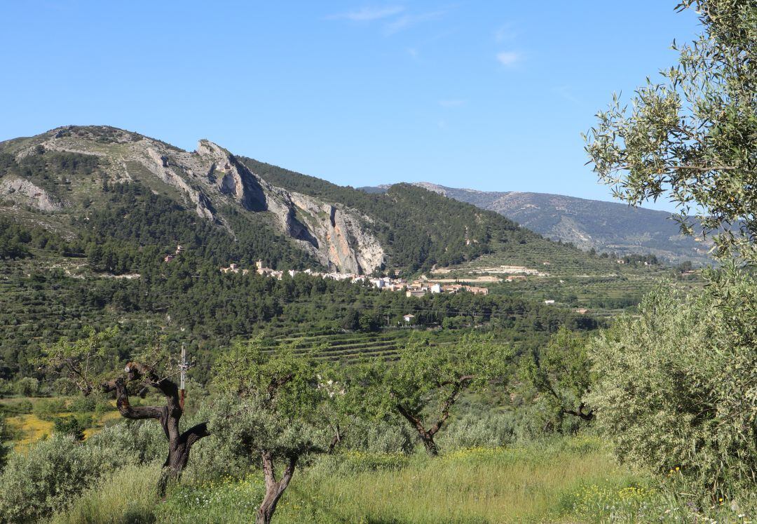 Sanitat notifica un positivo en Penàguila.