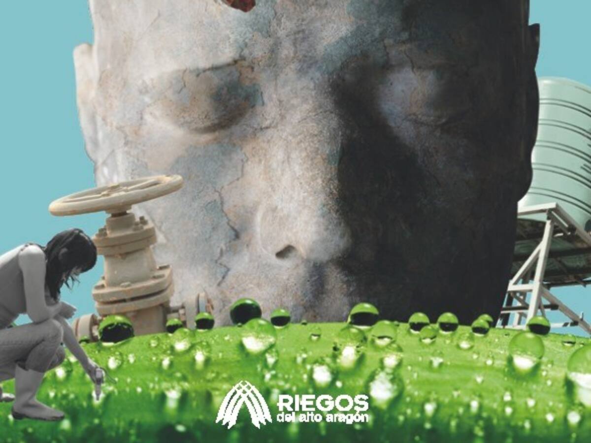 Los regadíos resilientes en la jornada de Riegos del Altoaragón 2025