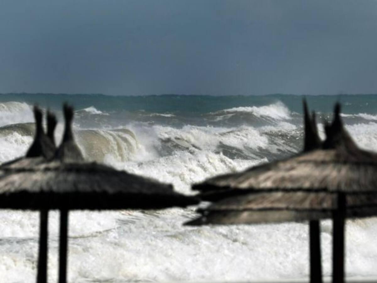 El viento pone en jaque a la Marina Alta: alerta naranja, carnavales y desfiles suspendidos y parques cerrados en seis municipios