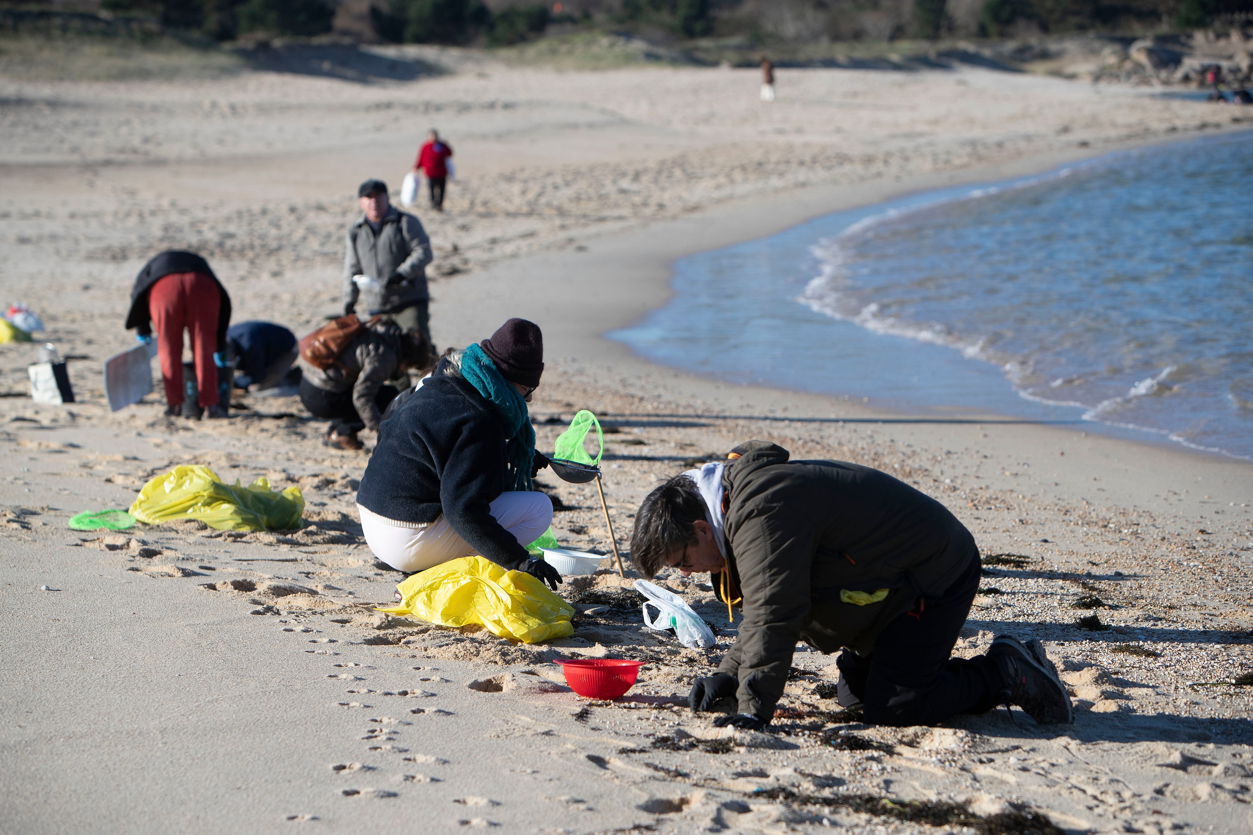 O GROVE (PONTEVEDRA), 07/01/2024.- Voluntarios recogen microeplásticos o pellets, que han aparecido en toda la costa atlántica de Galicia, este domingo en la Playa de A Lanzada en O Grove. EFE/Salvador Sas
