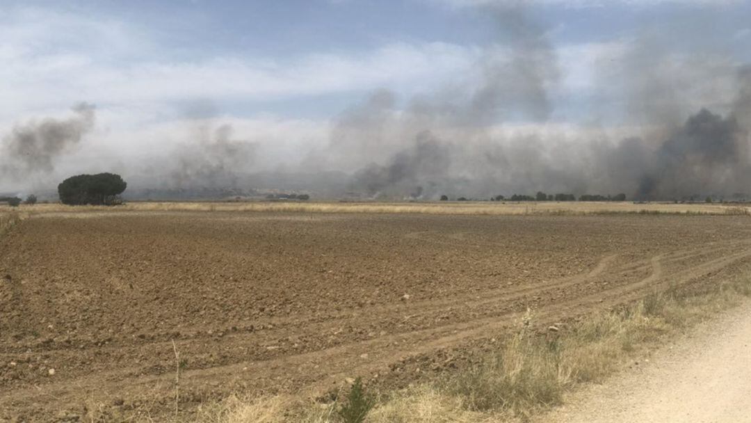 Más de 165 hectáreas afectadas, 16 heridos leves y una hípica arrasada por el fuego en el municipio de Fuente el Saz de Jarama 