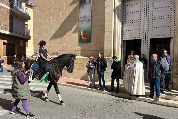 Bendición de animales en Sax