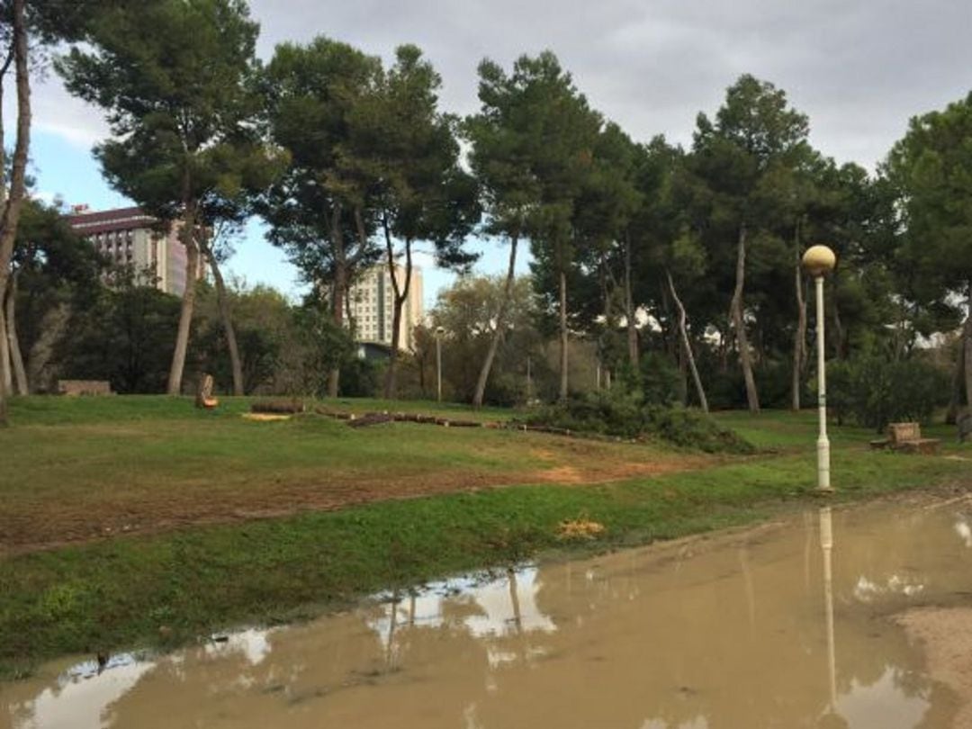 Una imagen de archivo del efecto de las lluvias en el Jardín del Turia