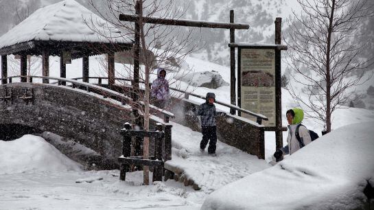 La estación de Llanos del Hospital durante el mes de febrero