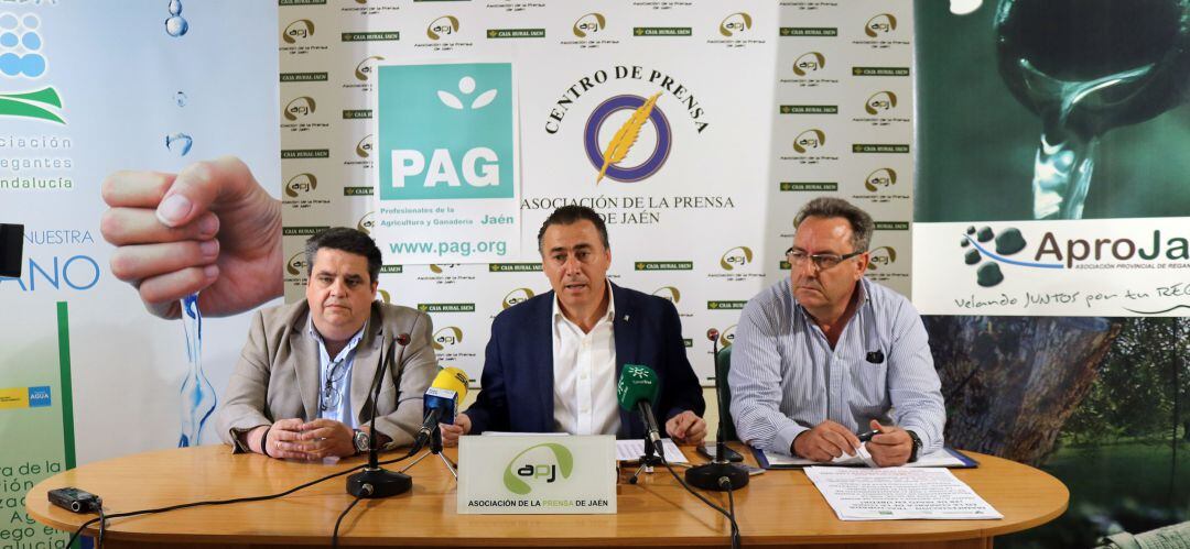 Representantes de AproJaén, Areda y PAG durante la comparecencia de prensa.