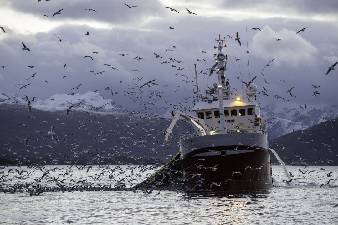 Un barco faenando en alta mar. 