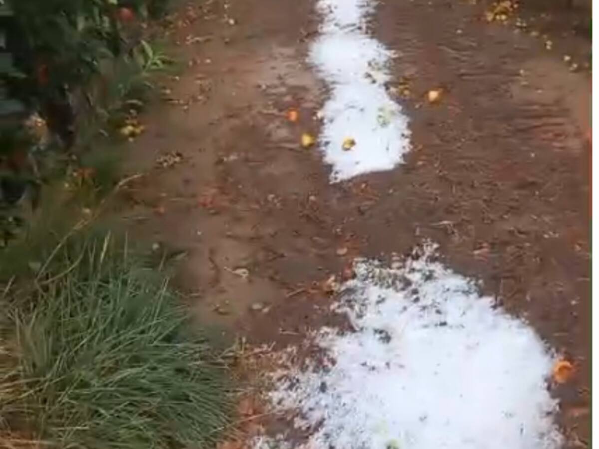 Una nova pedregada afecta finques en collita de Segrià, Garrigues i Noguera