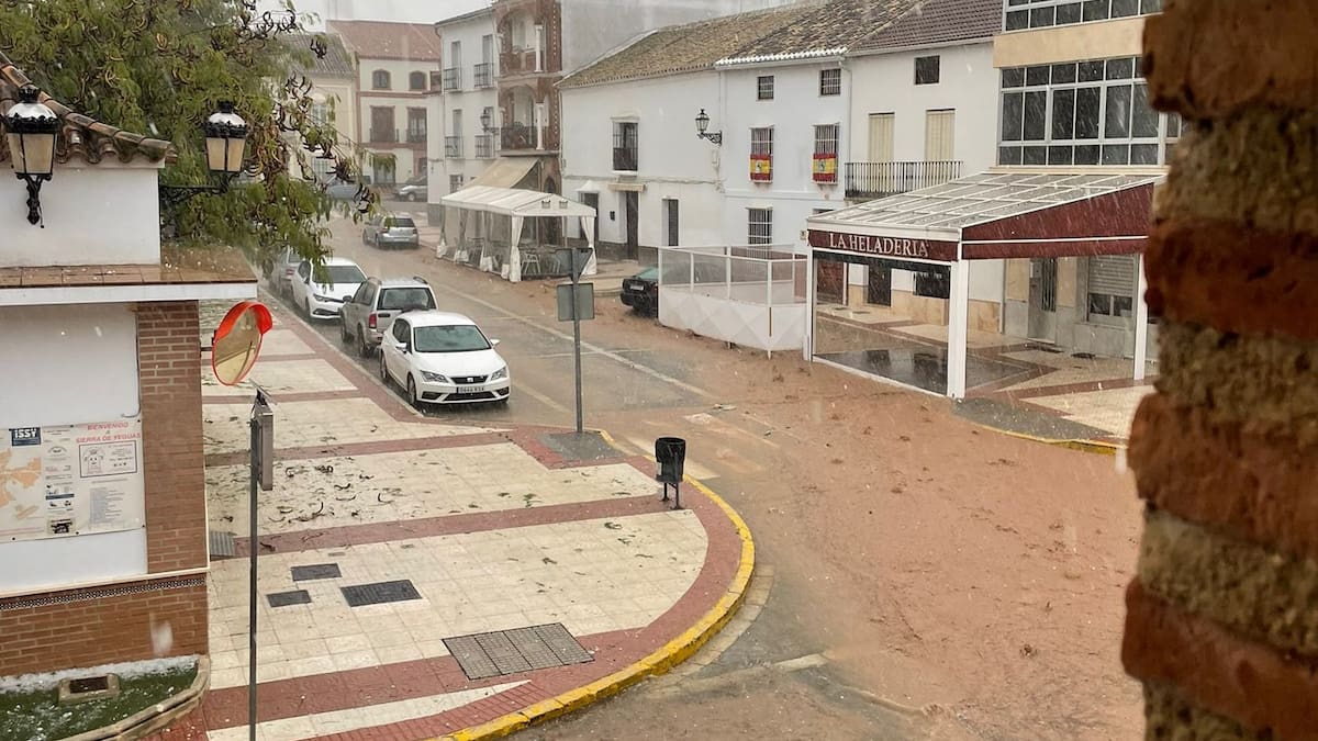 "Cayeron 60 litros por metro cuadrado en tres cuartos de hora", Miguel Ángel Sánchez, alcalde de Sierra de Yeguas (Málaga)